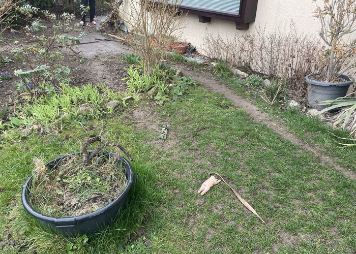 Nutzerbilder Wittmann Hausverwaltung