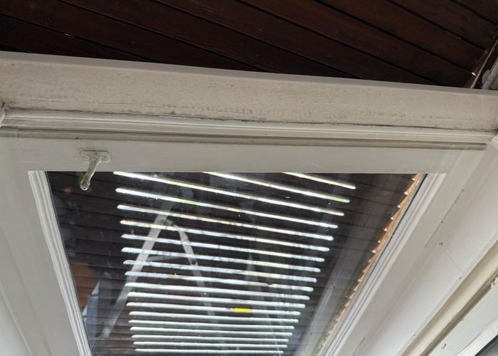 Nutzerbilder Amini Eco Clean UG (haftungsbeschränkt)