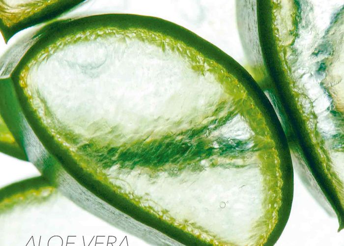 Nutzerbilder NaturKosmetik&Wellness