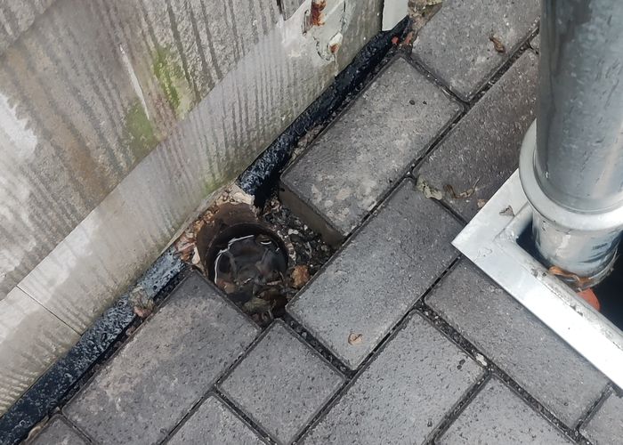 Nutzerbilder PG Dachbau und Solar