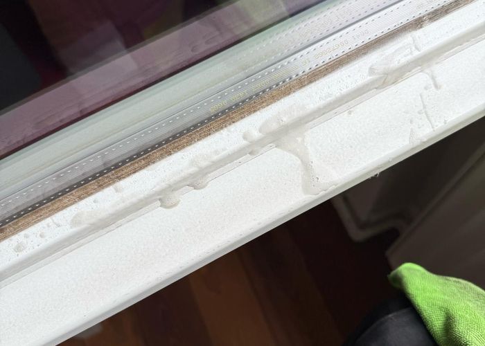 Nutzerbilder Amini Eco Clean UG (haftungsbeschränkt)