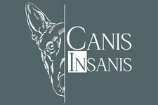 Bild zu Canis-Insanis