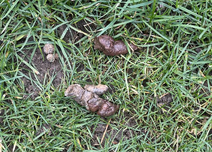 Nutzerbilder Wittmann Hausverwaltung