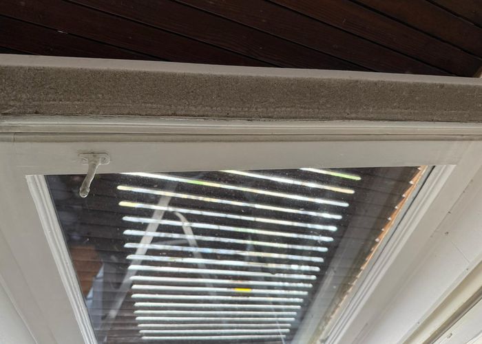 Nutzerbilder Amini Eco Clean UG (haftungsbeschränkt)