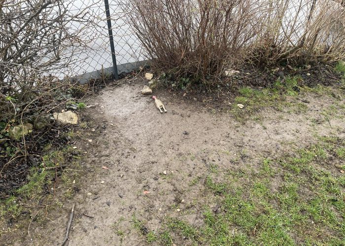 Nutzerbilder Wittmann Hausverwaltung