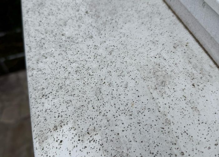 Nutzerbilder Amini Eco Clean UG (haftungsbeschränkt)