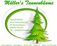 Bild zu Müllers Tannenbäume