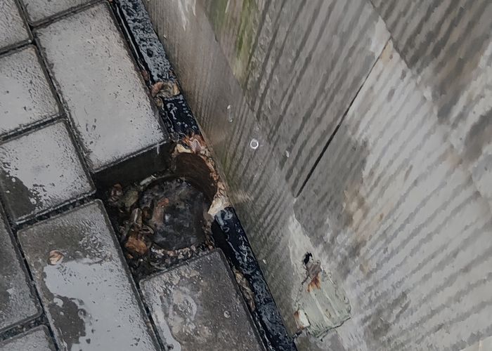 Nutzerbilder PG Dachbau und Solar