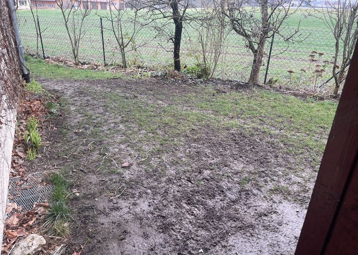 Nutzerbilder Wittmann Hausverwaltung