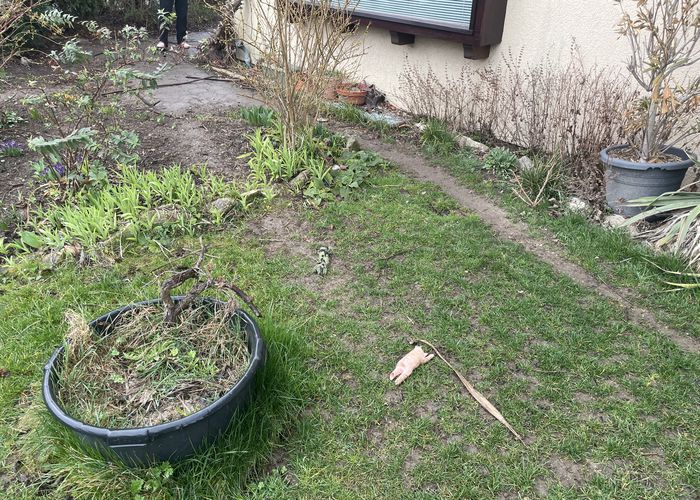 Nutzerbilder Wittmann Hausverwaltung