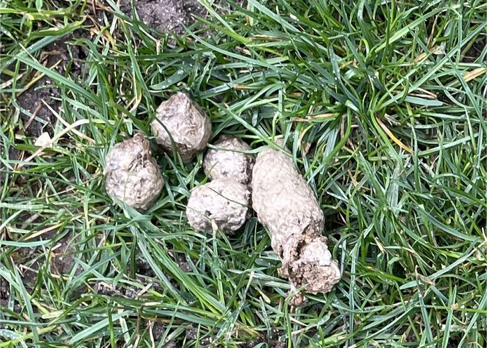 Nutzerbilder Wittmann Hausverwaltung
